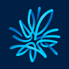 AMP logo